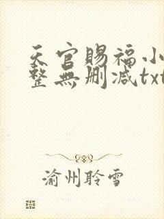 天官赐福小说完整无删减txt下载