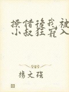 撩错后我被渣男小叔狂宠入骨全文免费阅读封面