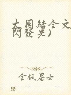 大团结全文(闪闪发光)