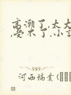 高潮了,太大了,受不了.小说