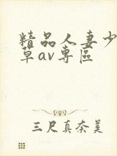 精品人妻少妇嫩草av专区封面