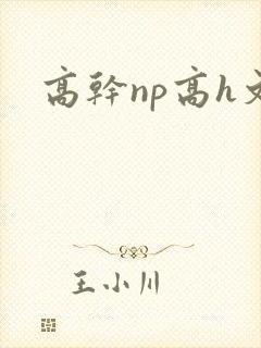 高干np高h文