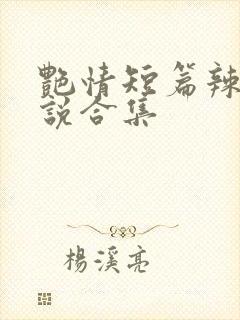 艳情短篇辣文小说合集