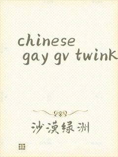 chinese gay gv twink tube tv
