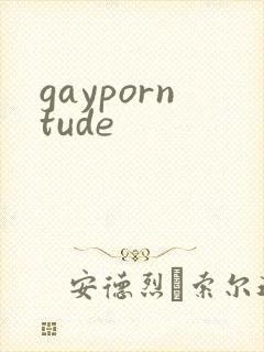 gayporntude
