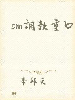 sm调教重口文