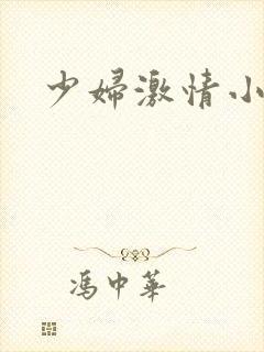 少妇激情小说