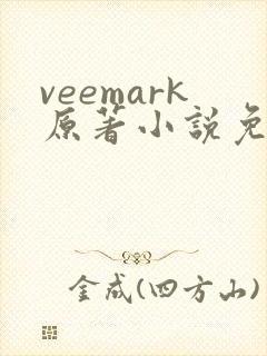 veemark原著小说免费阅读封面
