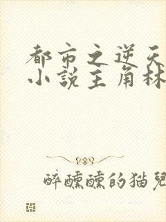 都市之逆天仙尊小说主角林凡