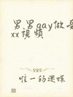 男男gay做受xx视频