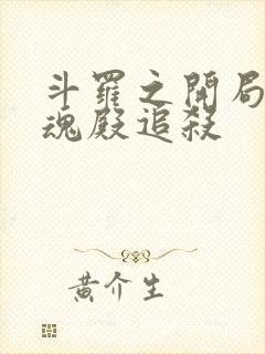 斗罗之开局被武魂殿追杀封面