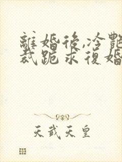 离婚后,冷艳总裁跪求复婚小说免费下载封面
