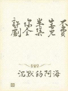 许你半生不见短剧全集免费播放