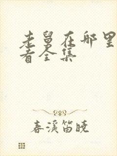 老舅在哪里可以看全集