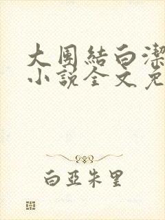 大团结白洁高义小说全文免费笔趣阁