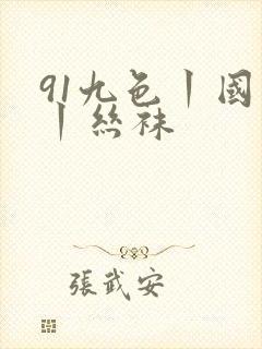 91九色丨国产丨丝袜