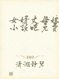 女婿丈母娘言情小说吧免费阅读全文