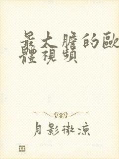 最大胆的欧美裸体视频