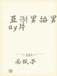 亚洲男插男同gay片