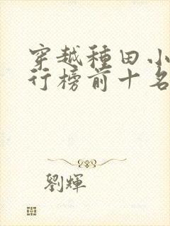 穿越种田小说排行榜前十名完结篇