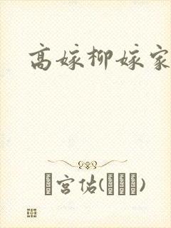 高嫁柳嫁家2集