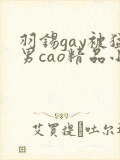 羽锡gay被猛男cao精品小说