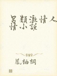 另类激情人妻激情小说封面