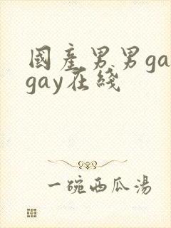 国产男男gaygay在线封面