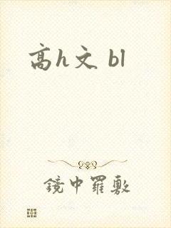 高h文 bl