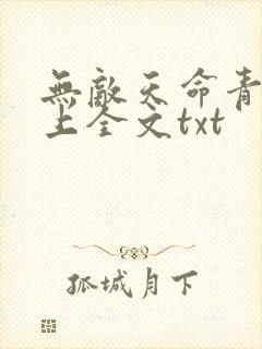 无敌天命青鸾峰上全文txt