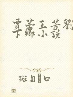 贾蕾王芳刘医生下乡小说封面