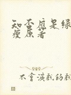 知否应是绿肥红瘦原著