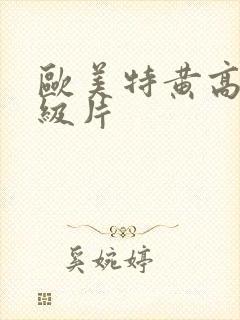 欧美特黄高清一级片