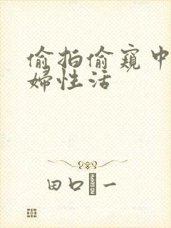 偷拍偷窥中年夫妇性活