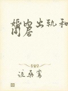 婚内出轨和小三同居