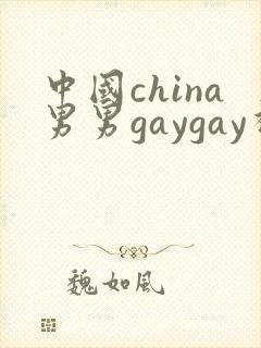 中国china男男gaygay视频