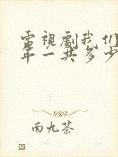 电视剧我们这十年一共多少集封面