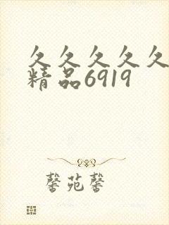 久久久久久亚洲精品6919