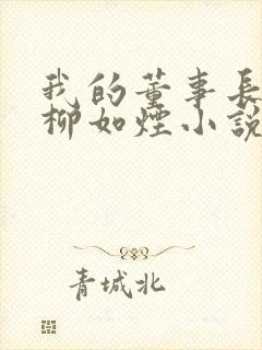 我的董事长母亲柳如烟小说封面