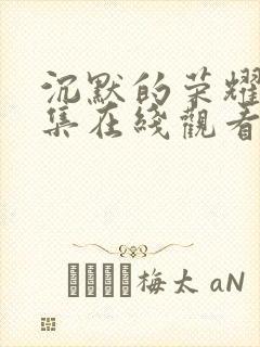 沉默的荣耀34集在线观看封面