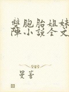 双胞胎姐妹齐上阵小说全文阅读