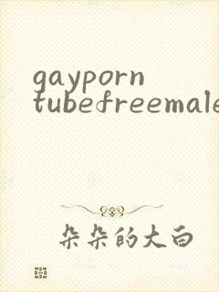gayporntubefreemalesexvideo封面