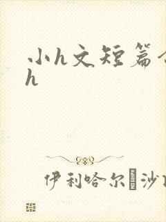 小h文短篇合集h封面