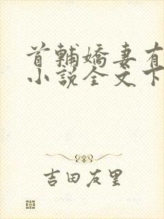 首辅娇妻有空间小说全文下载封面