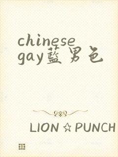 chinesegay蓝男色