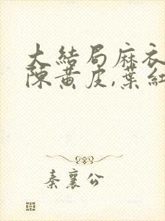 大结局麻衣神婿陈黄皮,叶红鱼