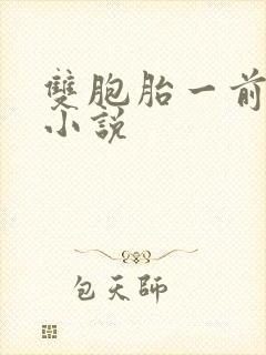 双胞胎一前一后小说