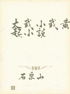 大武小武黄蓉一起小说