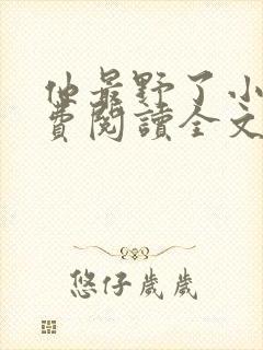 他最野了小说免费阅读全文