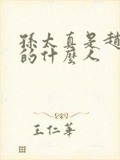 孙太真是赵匡胤的什么人